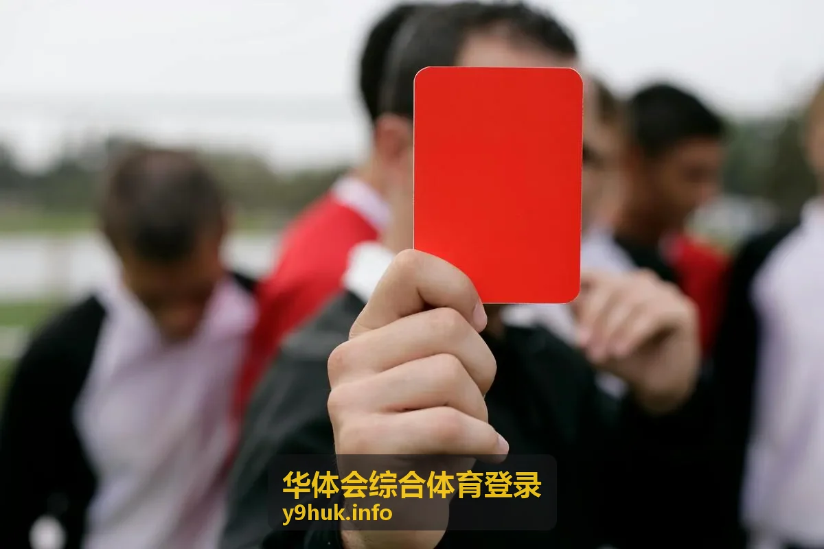 华体会综合体育登录综合体育数据服务总览