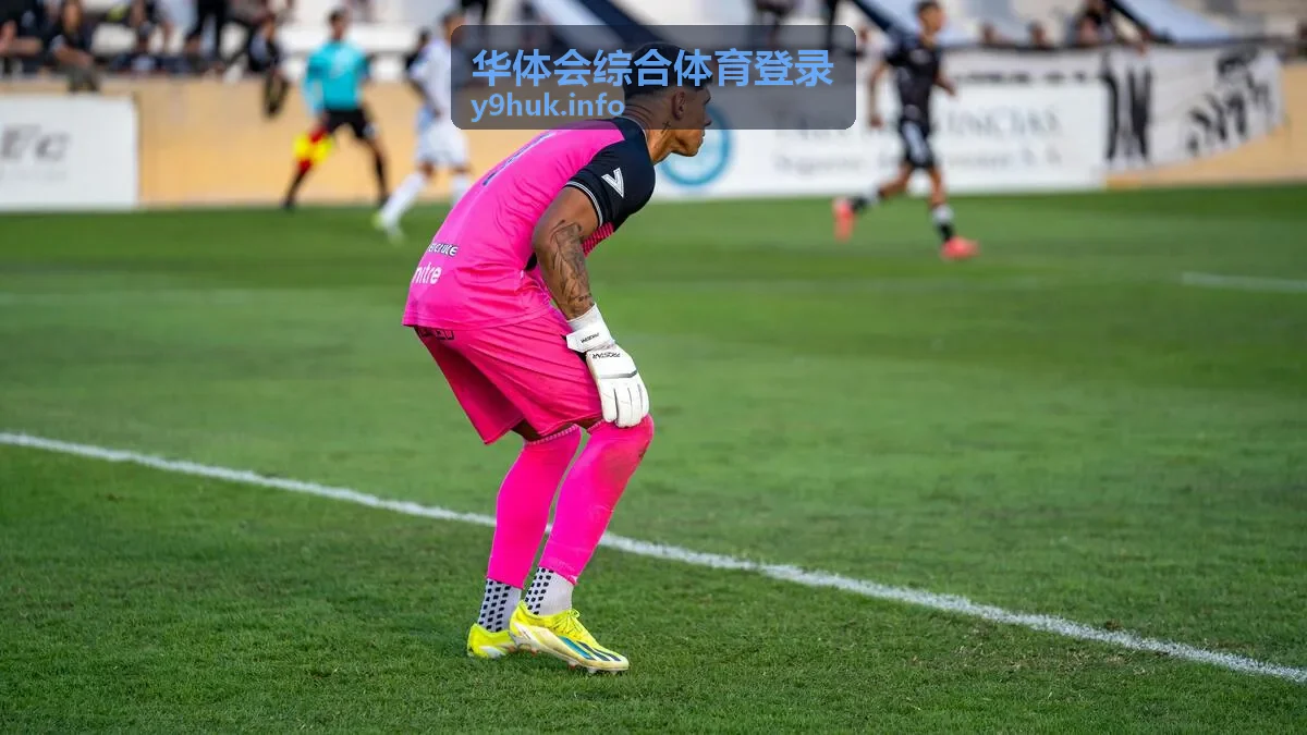 华体会综合体育登录赛程时间线与统计字段对照示意