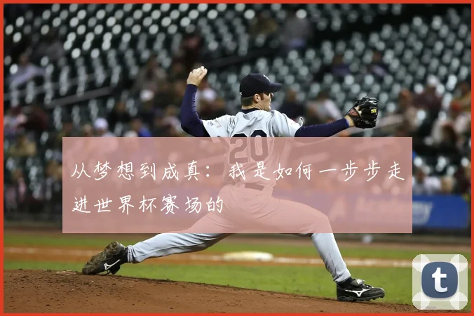 从梦想到成真:我是如何一步步走进世界杯赛场的