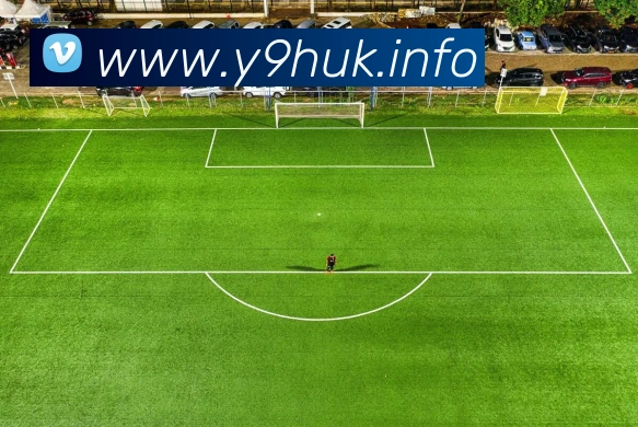 九游手机官网入口平台生态图